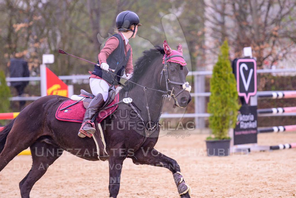 12042026-Mammendorf-Prfg41-0357 | Fokus Hufschlag Fotografie - Realisiert mit Pictrs.com