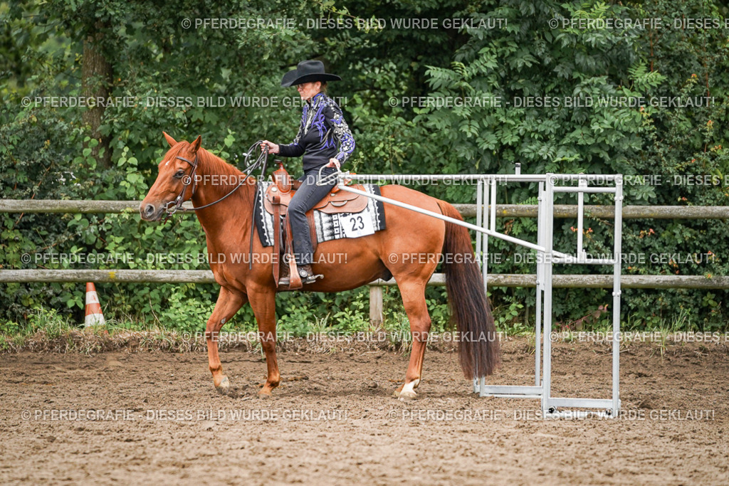 DSC03659 | Pferdegrafie