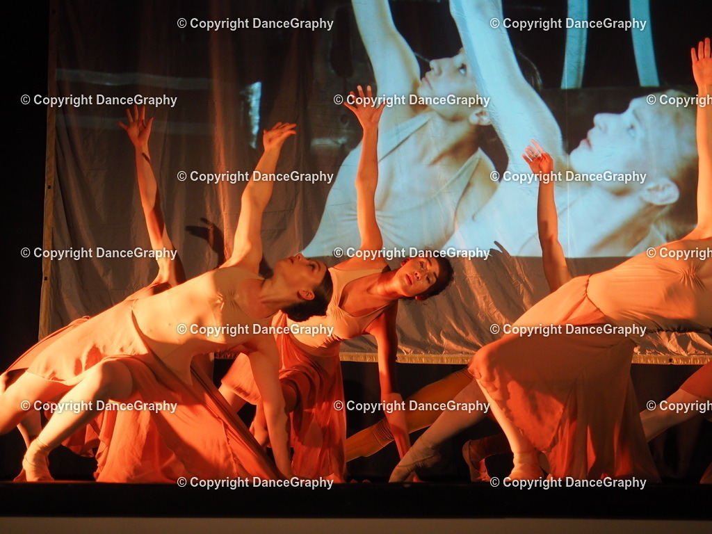 P1010981 | DanceGraphy - Realisiert mit Pictrs.com