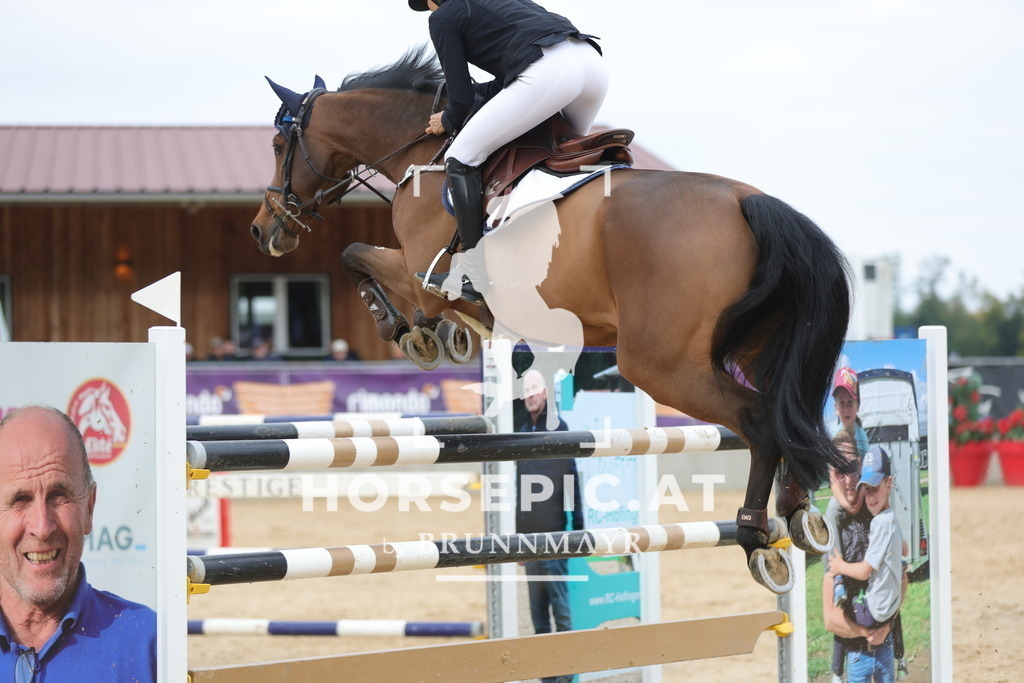 0P6A4427 | Willkommen bei Brunnmayr - Design & Fotografie – Ihrem Spezialisten für Reitturniere und Pferdeveranstaltungen in Oberösterreich, Salzburg und Bayern! Seit über 17 Jahren sind wir leidenschaftlich dabei.