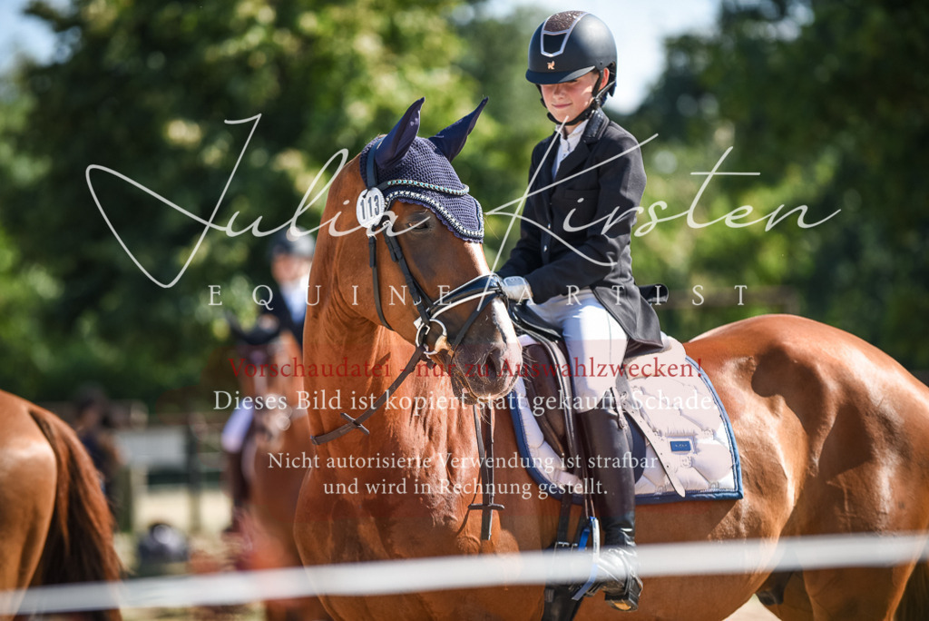 DSC_9706 | Pferde- und Turnierfotografie in Westsachsen. Pferdeportraits, Auftragszeichnungen und intuitive Kunst.