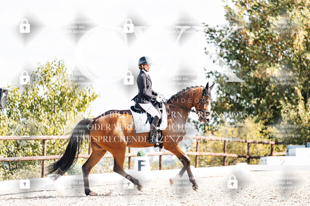 CK902317 | Turnierfotografie Pferdefotografie Trier Rheinland-Pfalz Pferdesport Reitsport Tierfotografie Sportfotografie Pferdevideo Pferdevideografie Equestrianvideography equestrianphotography  - Realisiert mit Pictrs.com