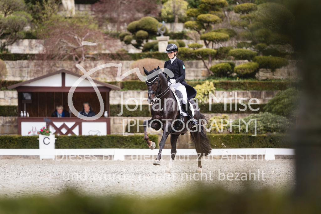 260412_Kronberg_S-Dressur-639 | Deine schönsten Turniermomente als professionelle Fotos! Entdecke hochwertige Pferdesport-Fotografie im Online-Shop. Jetzt Fotos finden & bestellen!