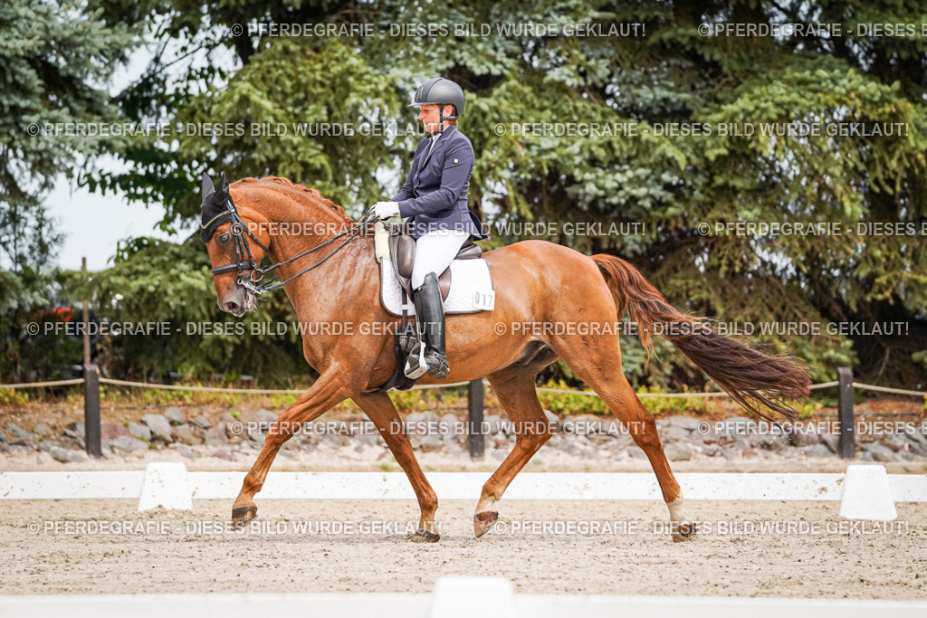 DSC05038 | Pferdegrafie