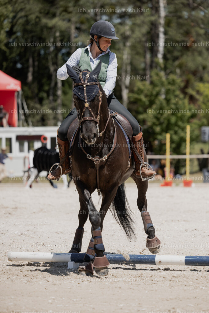 WE_SP_Stoib_315_PI2025_1850 | Pferd International München 2025