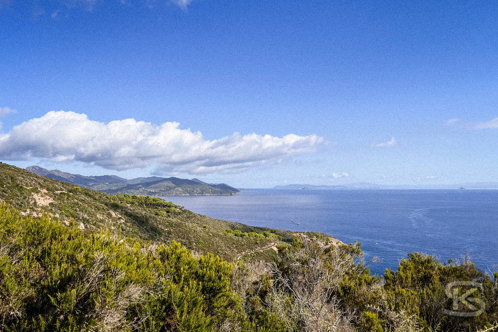 Wildes Elba: Panoramablick über die Küstenlandschaft auf das Mittelmeer – Wandbild | Panorama-Ausblick auf die hügelige Küstenlandschaft der Insel Elba mit typisch mediterraner Vegetation (Macchia) im Vordergrund und dem weiten, blauen Meer unter sommerlichen Wolkenformationen. - Realisiert mit Pictrs.com