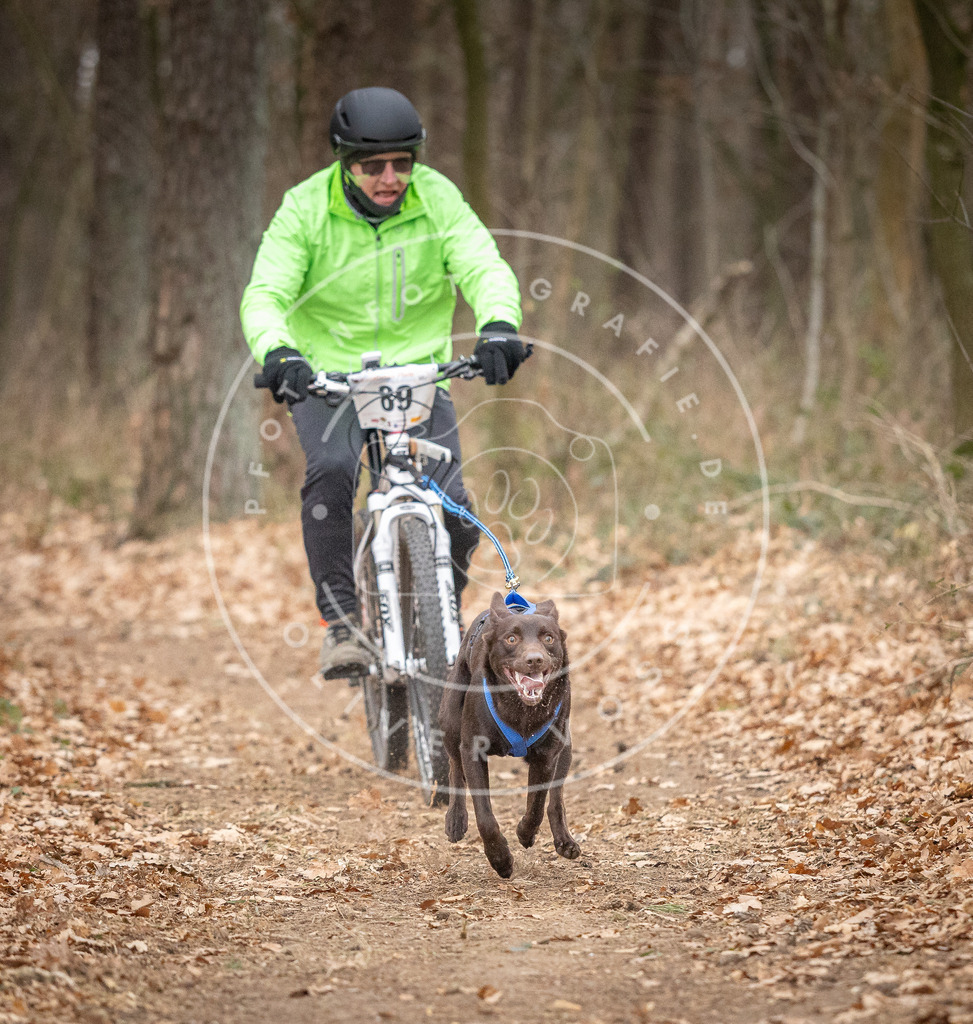 Pfotenfotografie_DV3A6501 | Hundefotografie, Tierfotograf, Pfotenfotografie, Fotoshooting Hund, Hunde Portrait, Hundesport, Hundeportraits, Heideshooting, Hunde, Sportfotograf, Hundefotograf, Turnierhundsport, THS,  - Realisiert mit Pictrs.com