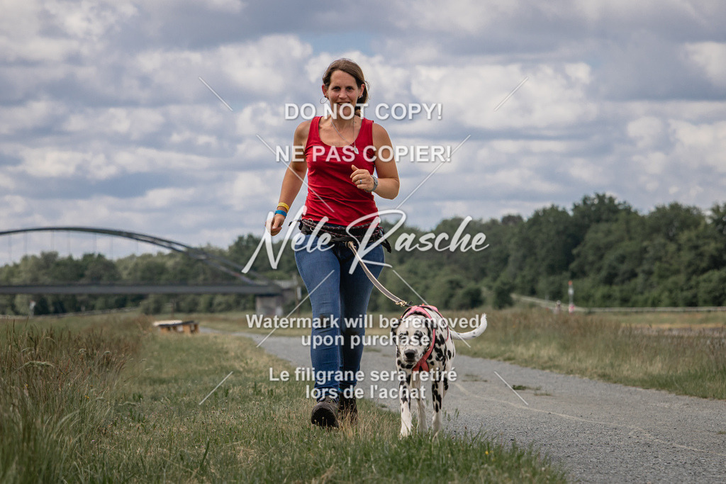 nelerasche_BuHu2026_SaCC1100-1200_76 | nelerasche