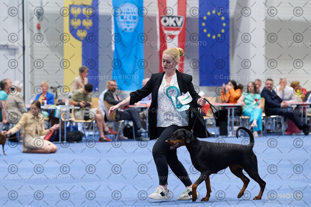 202406_ÖKV-IHA-Tulln24_DSC_2937 | proPHOTO - Realisiert mit Pictrs.com