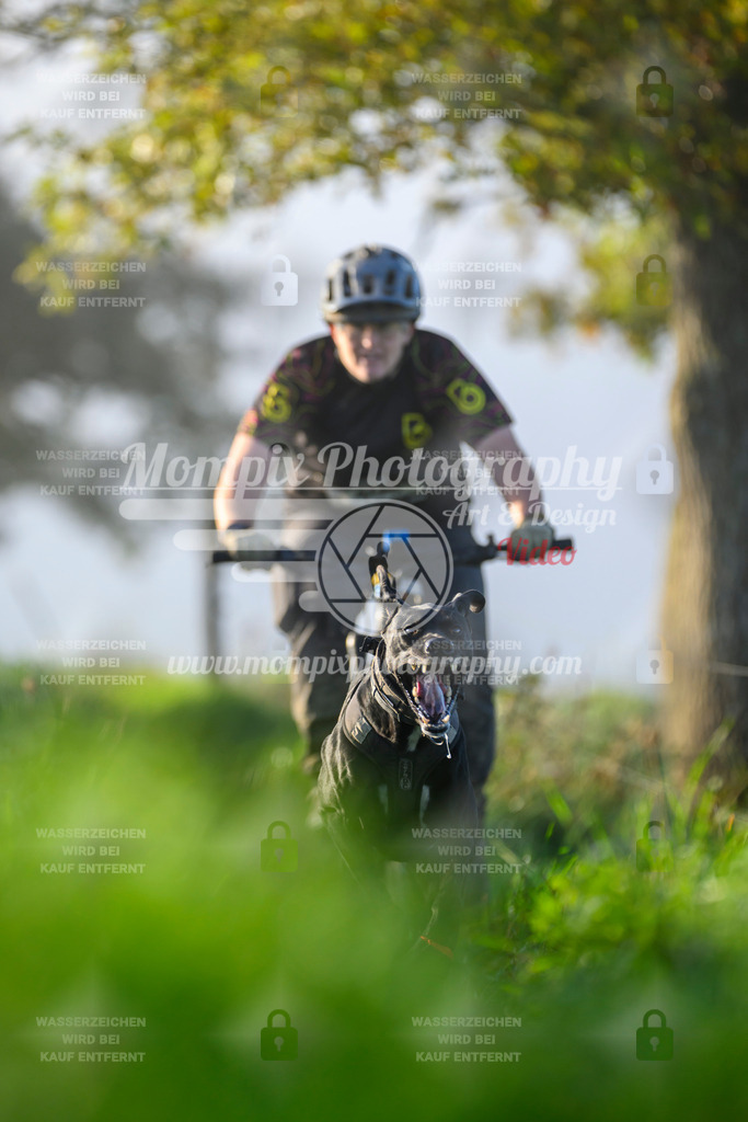 MompixPhotography_20TSB_E3_Bike-165 | PayLife