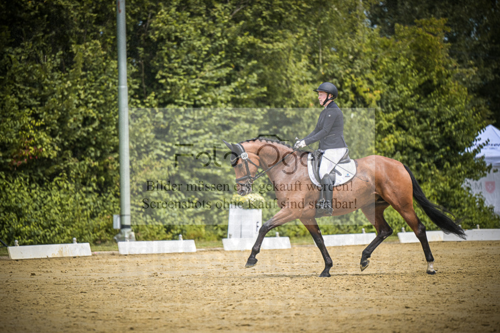 DOS_3864 | Entdecke hochwertige Reitturnierfotos von Foto Oger. Professionell, emotional und authentisch – jetzt Lieblingsmomente im Shop bestellen.Deutschlandweite Turnierfotografie. - Realisiert mit Pictrs.com