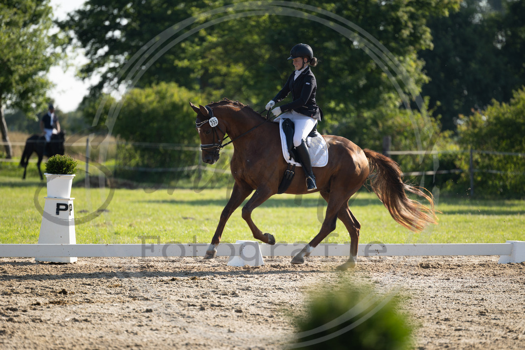 994A4061 | sabrinanicolaifotografie - Realisiert mit Pictrs.com