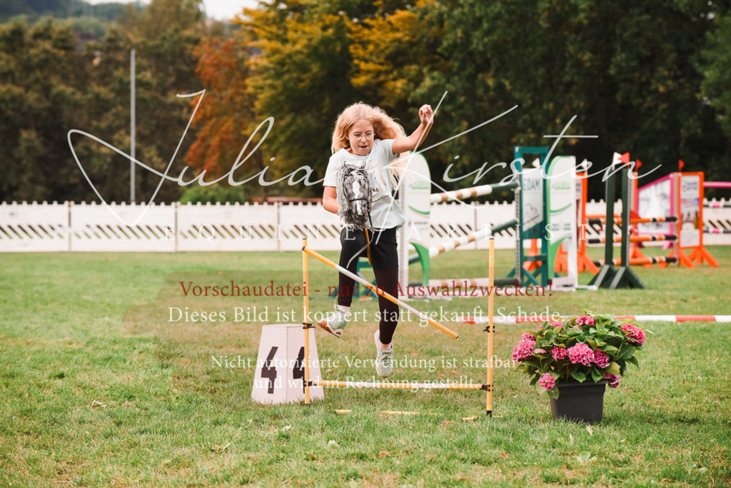 DSC_4455 | Pferde- und Turnierfotografie in Westsachsen. Pferdeportraits, Auftragszeichnungen und intuitive Kunst.