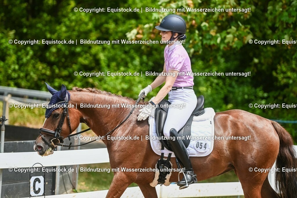 20230716_03_Dressurprfg. Kl.L - Tr._0247 | equistock