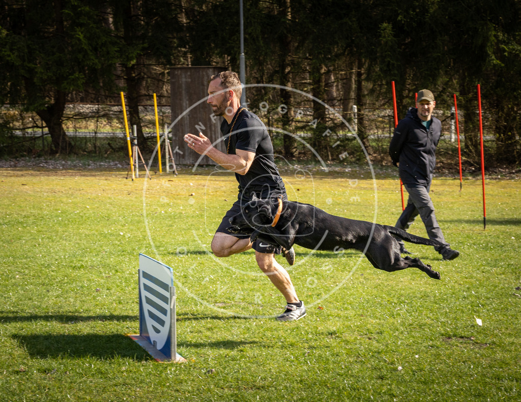 Pfotenfotografie_DV3A1748 | Hundefotografie, Tierfotograf, Pfotenfotografie, Fotoshooting Hund, Hunde Portrait, Hundesport, Hundeportraits, Heideshooting, Hunde, Sportfotograf, Hundefotograf, Turnierhundsport, THS,  - Realisiert mit Pictrs.com