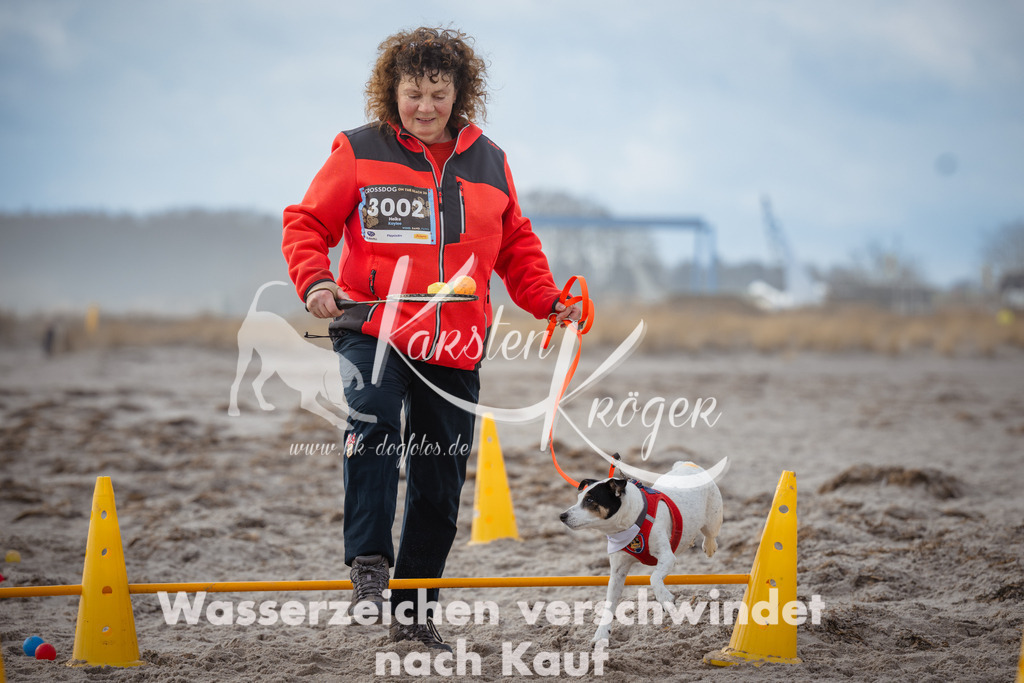 1209_ZZ94336 | kk-dogfotos