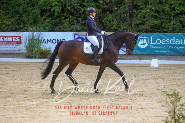 DKP41387 | Turniersportfotografie; Pferdefotografie; Dressurfotografie