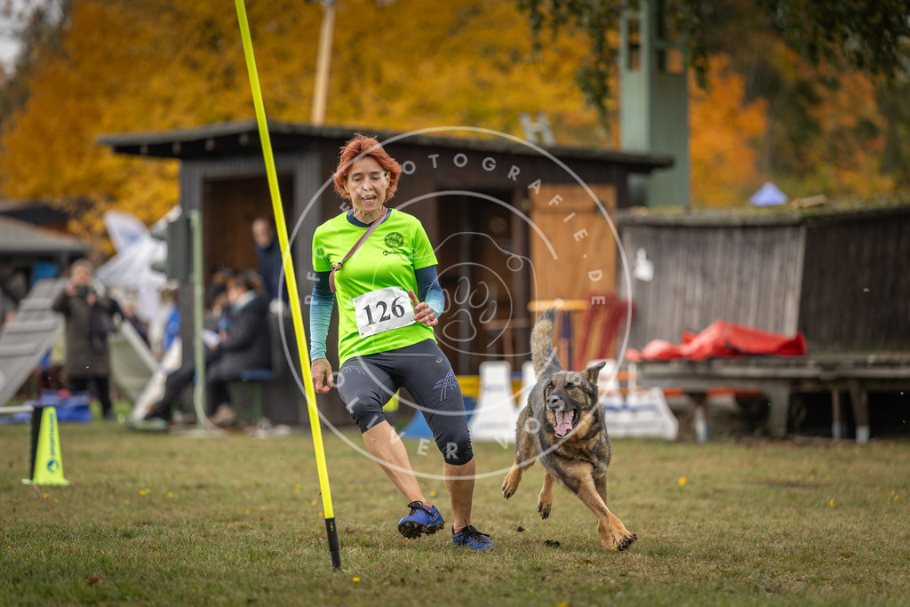 Pfotenfotografie_DV3A6713 | Hundefotografie, Tierfotograf, Pfotenfotografie, Fotoshooting Hund, Hunde Portrait, Hundesport, Hundeportraits, Heideshooting, Hunde, Sportfotograf, Hundefotograf, Turnierhundsport, THS,  - Realisiert mit Pictrs.com