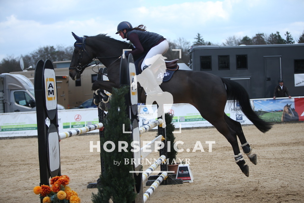 AS8V7768 | Willkommen bei Brunnmayr - Design & Fotografie – Ihrem Spezialisten für Reitturniere und Pferdeveranstaltungen in Oberösterreich, Salzburg und Bayern! Seit über 17 Jahren sind wir leidenschaftlich dabei.