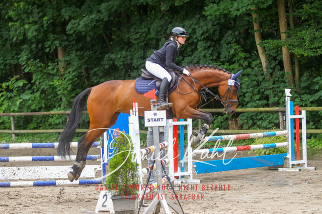 DKP44947 | Turnierfotos kaufen im Webshop von Daniel Kuhl Photography – entdecke professionelle Reitsportfotos aus Turnieren & Events. Hochwertige Turnierbilder online bestellen & sichern. Jetzt Fotos von Reitsportturnieren kaufen!
