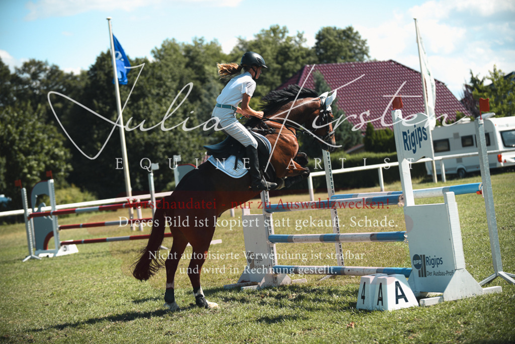 DSC_7284 | Pferde- und Turnierfotografie in Westsachsen. Pferdeportraits, Auftragszeichnungen und intuitive Kunst.