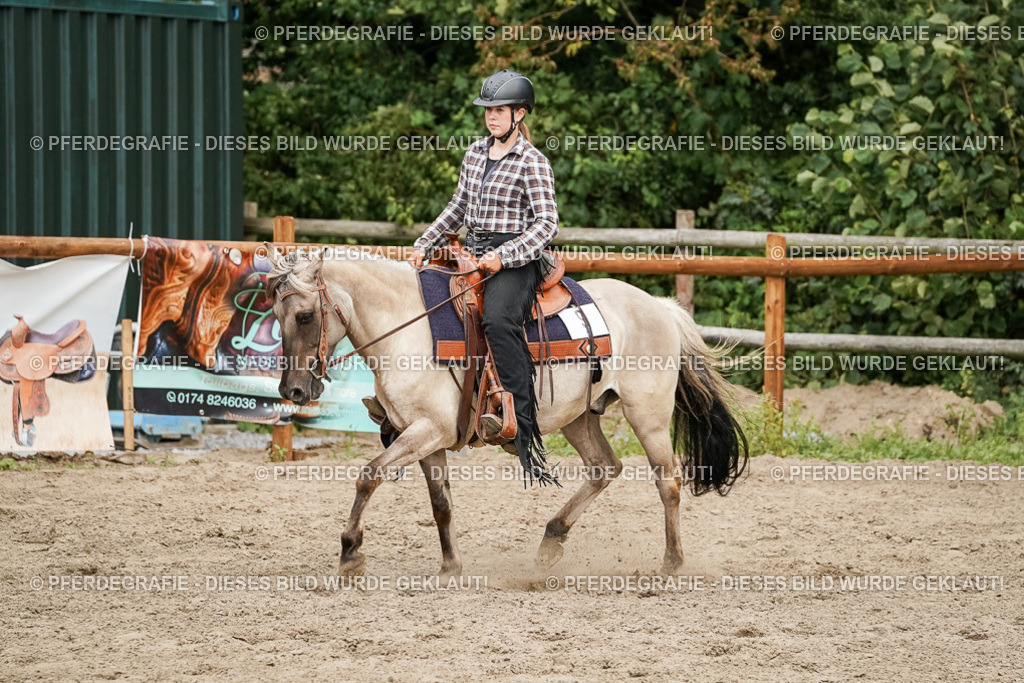 DSC09915 | Pferdegrafie