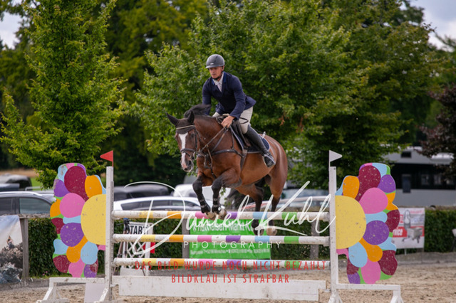 IMG_5847 | Turniersportfotografie; Pferdefotografie; Dressurfotografie