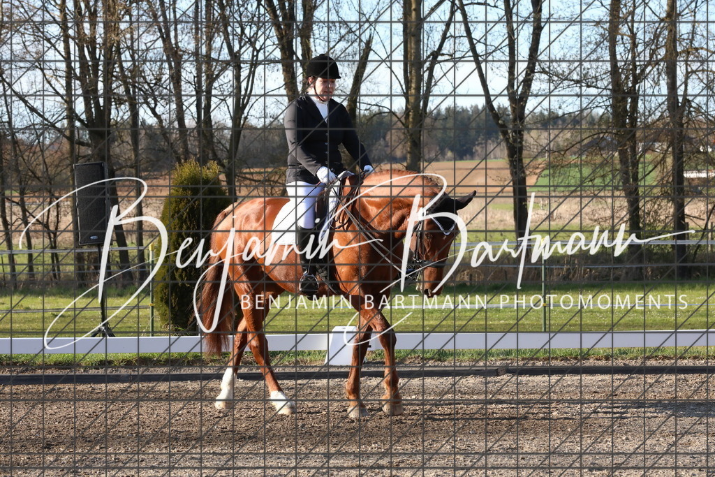 AZ2A5468 | Benjamin Bartmann Photomoments