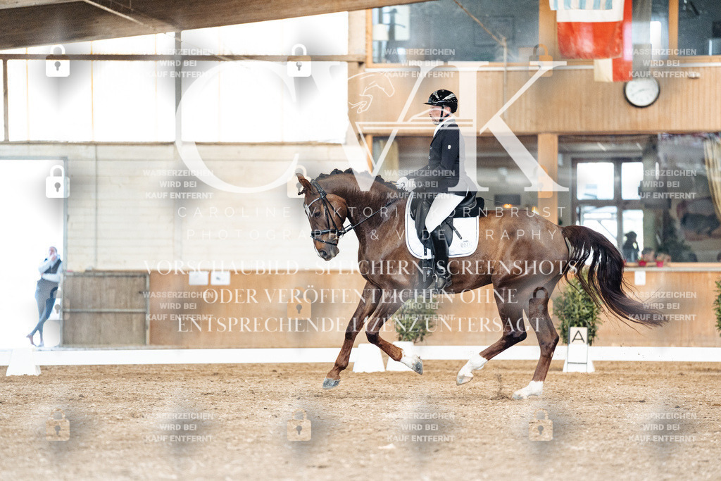 CK901630 | Turnierfotografie Pferdefotografie Trier Rheinland-Pfalz Pferdesport Reitsport Tierfotografie Sportfotografie Pferdevideo Pferdevideografie Equestrianvideography equestrianphotography  - Realisiert mit Pictrs.com