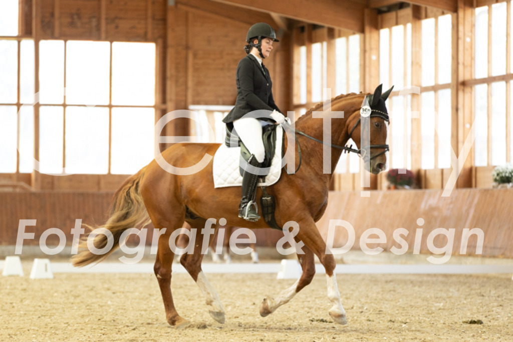 IMG_5833 | Creatify Fotografie