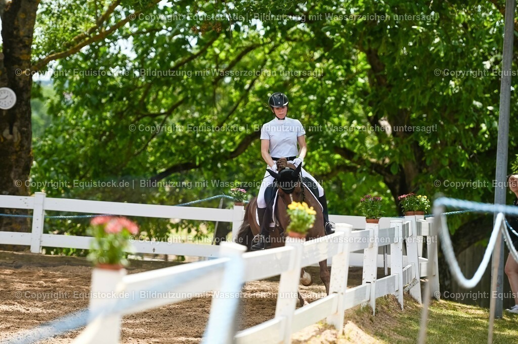 20230715_05_Dressurprüfung Kl.A++_0235 | equistock