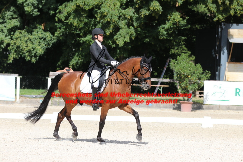 IMG_5335 | lmwpictures - Realisiert mit Pictrs.com