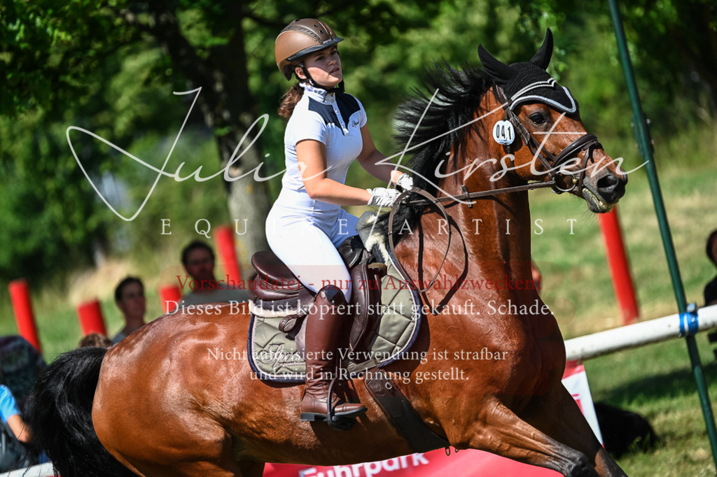 DSC_1195 | Pferde- und Turnierfotografie in Westsachsen. Pferdeportraits, Auftragszeichnungen und intuitive Kunst.