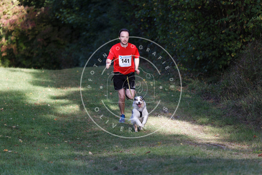 0L8A5106 | Hundefotografie, Tierfotograf, Pfotenfotografie, Fotoshooting Hund, Hunde Portrait, Hundesport, Hundeportraits, Heideshooting, Hunde, Sportfotograf, Hundefotograf, Turnierhundsport, THS,  - Realisiert mit Pictrs.com