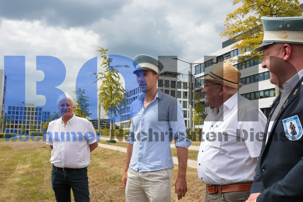 Eicheingrabung | Eicheingrabung - Realisiert mit Pictrs.com