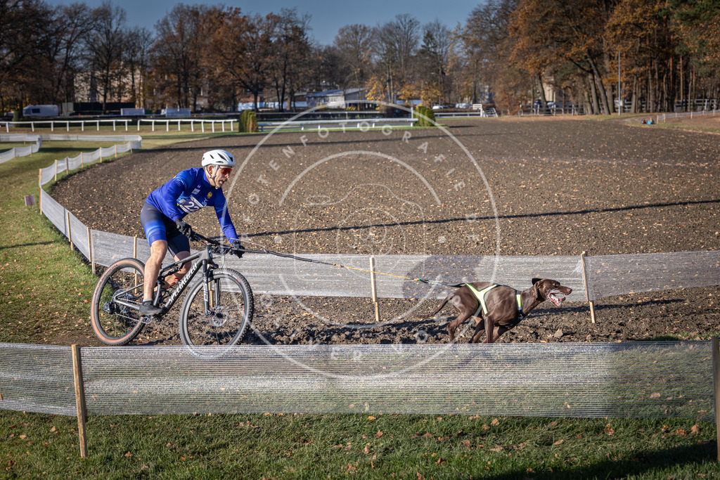 CaniXpix_DV3A3475 | Hundefotografie, Tierfotograf, Pfotenfotografie, Fotoshooting Hund, Hunde Portrait, Hundesport, Hundeportraits, Heideshooting, Hunde, Sportfotograf, Hundefotograf, Turnierhundsport, THS,  - Realisiert mit Pictrs.com