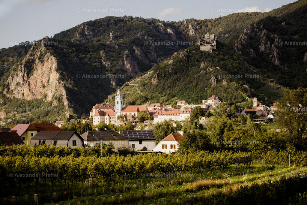 datei_c_alexander_pfeffel-8465 | alexander-pfeffel - Realisiert mit Pictrs.com