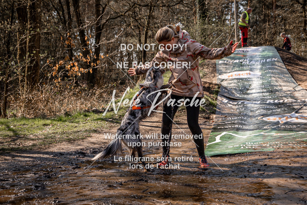 nelerasche_Hulsbeek_So1230-1300_340 | nelerasche