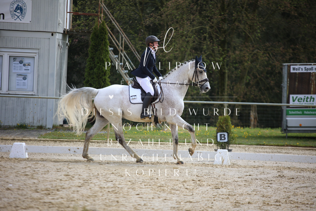 IMGT3253 | pl-fotografie