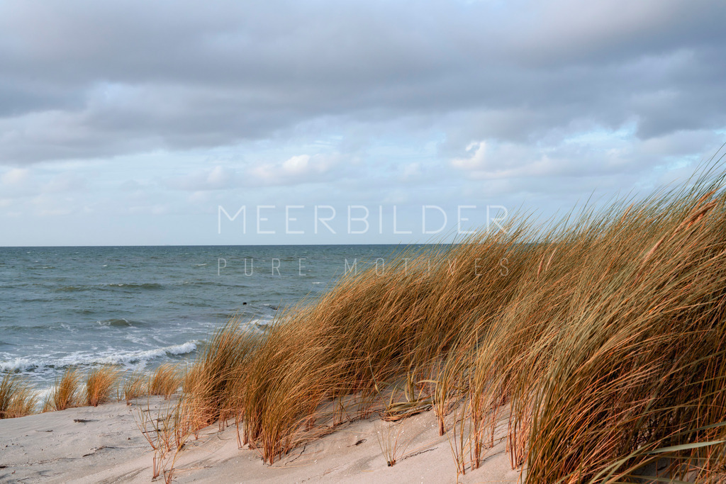 Ostsee Dünenbild // Ahrenshoop | Ein wunderschöner Herbsttag an der Ostsee wird in diesem Foto aus Ahrenshoop festgehalten. Das Dünengras leuchtet in herbstlichen Farben, während der Himmel leicht bewölkt ist. Im Hintergrund schäumt die Ostsee sanft, was darauf hinweist, dass es an diesem Tag windig war. Um diese besondere Aufnahme noch besser zur Geltung zu bringen, empfehlen wir einen Alu-Dibond-Druck oder als klassische Leinwandvariante. Auch ein Acrylglas-Druck oder ein Holzdruck verleihen dem Bild eine warme Atmosphäre - selbst bei Bewölkung.