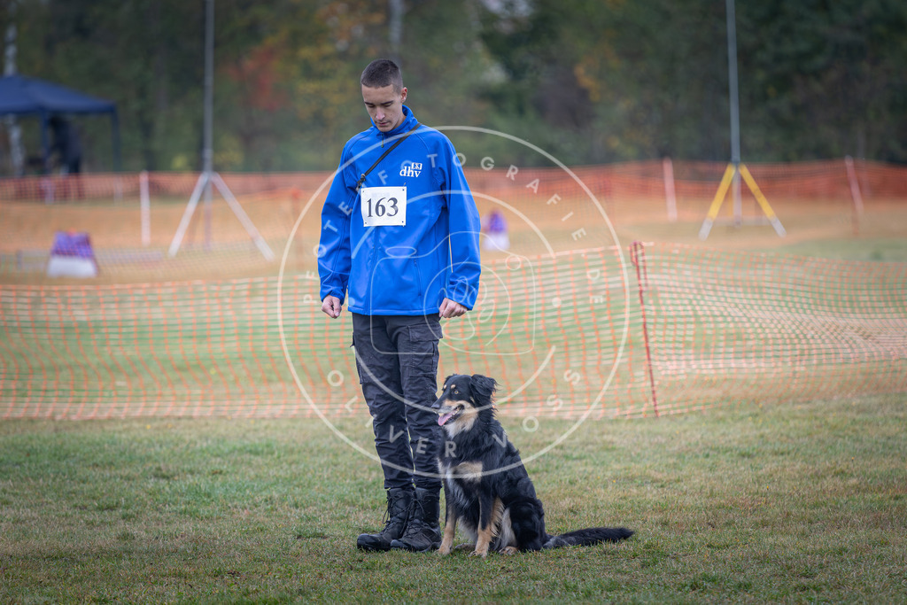 Pfotenfotografie_DV3A8858 | Hundefotografie, Tierfotograf, Pfotenfotografie, Fotoshooting Hund, Hunde Portrait, Hundesport, Hundeportraits, Heideshooting, Hunde, Sportfotograf, Hundefotograf, Turnierhundsport, THS,  - Realisiert mit Pictrs.com