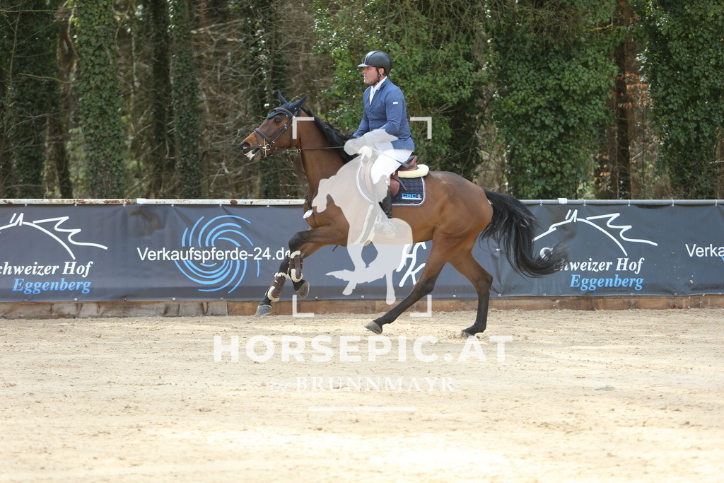 DL2Q8709 | Willkommen bei Brunnmayr - Design & Fotografie – Ihrem Spezialisten für Reitturniere und Pferdeveranstaltungen in Oberösterreich, Salzburg und Bayern! Seit über 17 Jahren sind wir leidenschaftlich dabei.