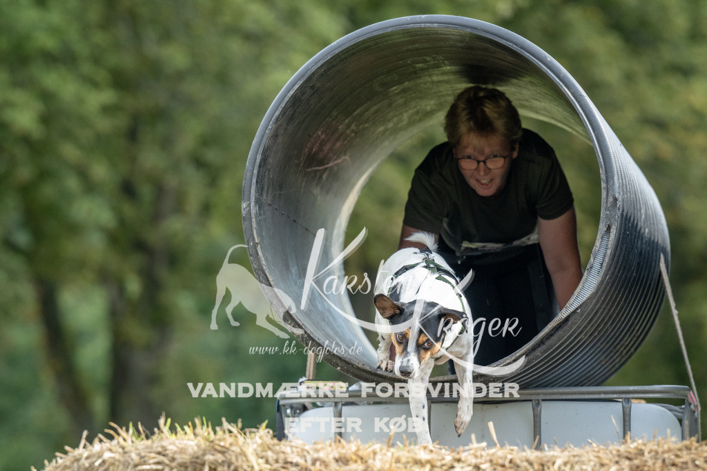 1027_ZZ92034 | kk-dogfotos