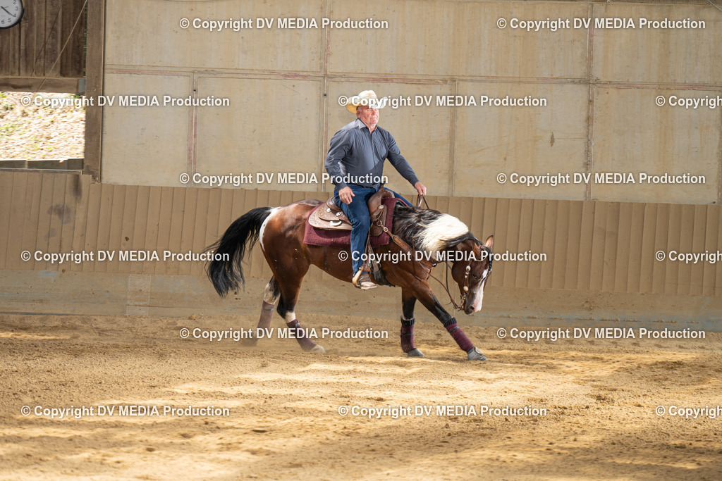 DSC00058-2 | dv-media-shop - Realisiert mit Pictrs.com