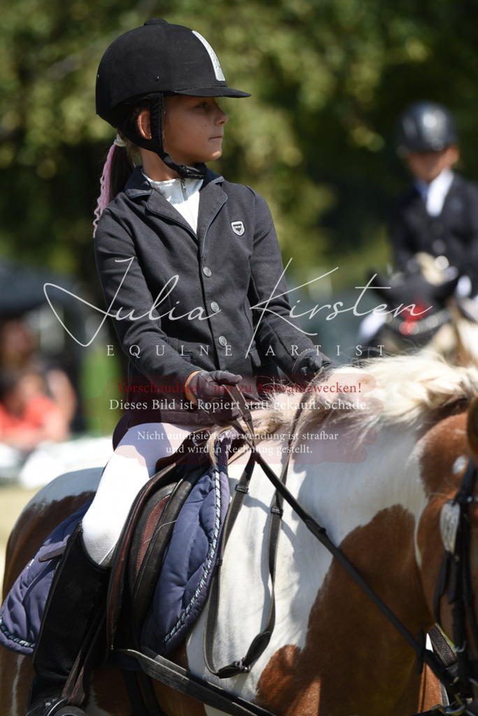 DSC_9850 | Pferde- und Turnierfotografie in Westsachsen. Pferdeportraits, Auftragszeichnungen und intuitive Kunst.