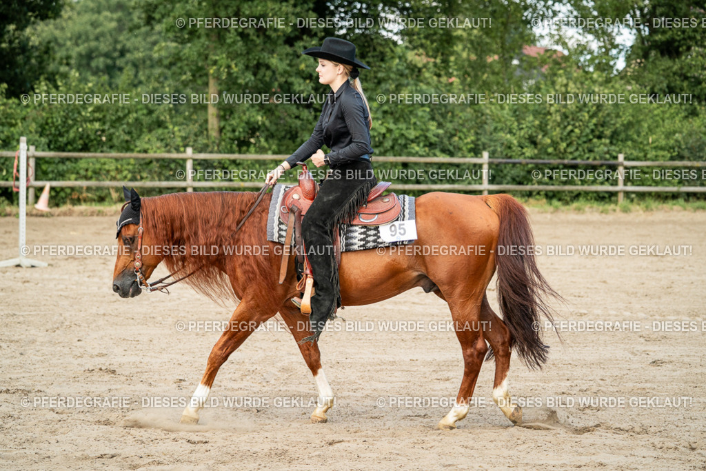 DSC06014 | Pferdegrafie