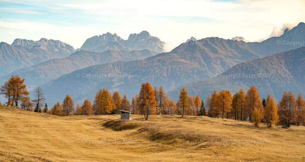 Samalm_Herbst_Lesachtal_2022-1037 | piet_flosse