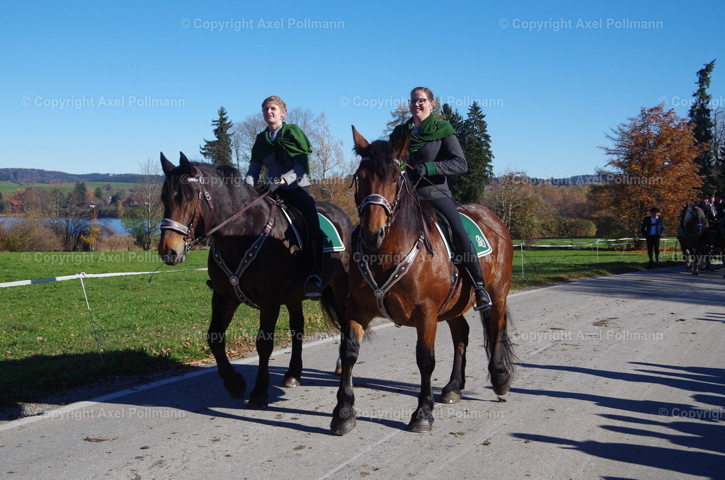 IMGP8463 | fotografiert von Axel PollmannLeonhardi Wallfahrt Benediktbeuern und Murnau, Fronleichnam, Fasching, Landschaft im Loisachtal und Benediktbeuern  - Realisiert mit Pictrs.com