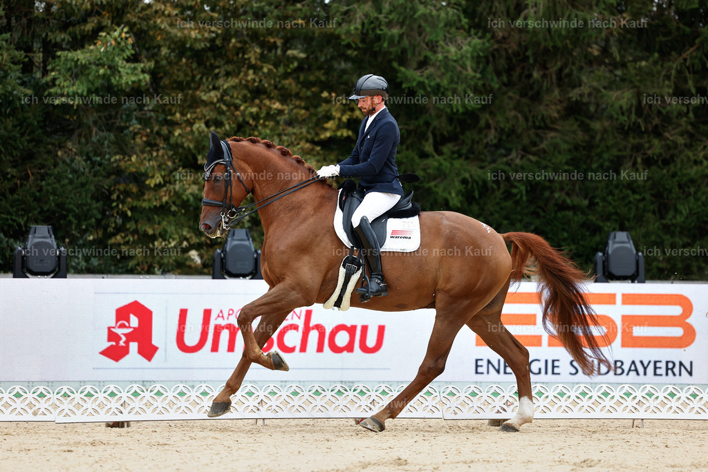 04_1-165-Dressur M__ -StoibPH-StoibPH-2629 | working equitationturnier fotograf videograf stoibphotography marixx film working equitation deutschland reitsport turnierfotografie eventfotografie equestrian events
