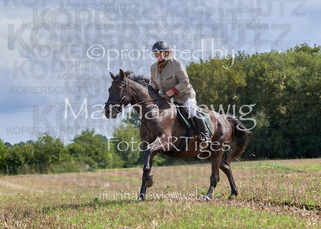 08-23 Bredeneek Jagd_MCH9107_Marina Hewig | Fotografie, FotoArt, PferdesportArt, Pferdesportfotografie, Landschaftsfotografie, Reisefotografie, Reise, Pferde - Realisiert mit Pictrs.com